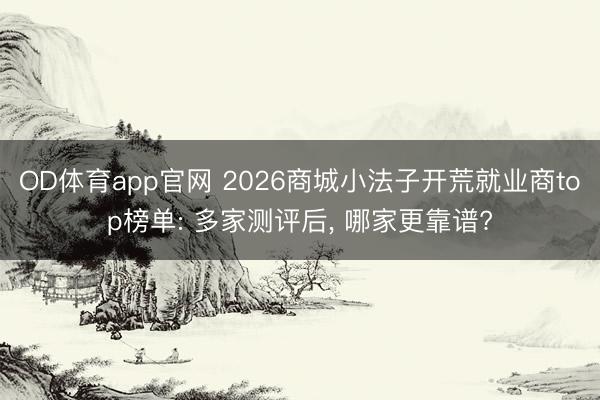 OD体育app官网 2026商城小法子开荒就业商top榜单: 多家测评后， 哪家更靠谱?