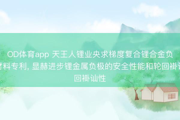 OD体育app 天王人锂业央求梯度复合锂合金负极材料专利， 显赫进步锂金属负极的安全性能和轮回褂讪性