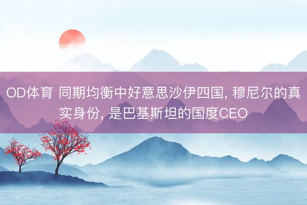 OD体育 同期均衡中好意思沙伊四国, 穆尼尔的真实身份, 是巴基斯坦的国度CEO