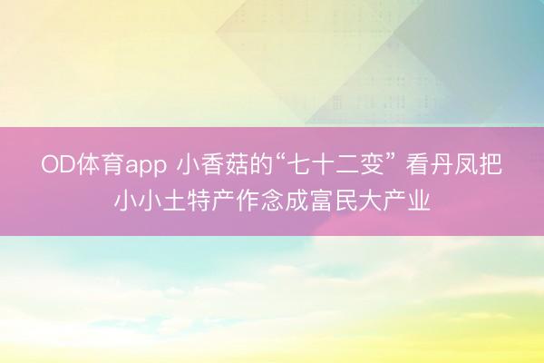 OD体育app 小香菇的“七十二变” 看丹凤把小小土特产作念成富民大产业
